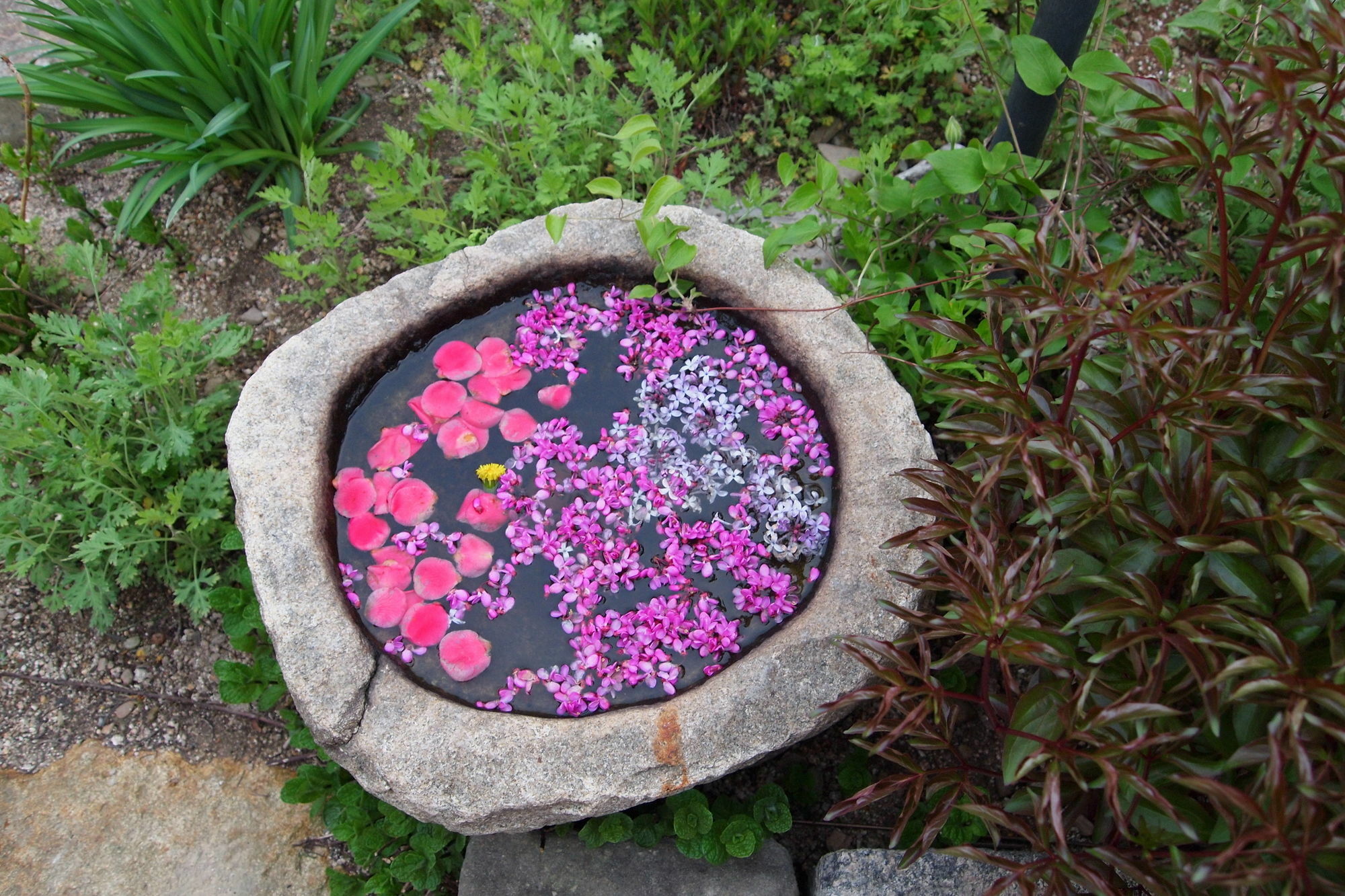 Floral Space Hanok Guesthouse Gyeongju Eksteriør bilde